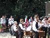 Tücsök zenekar
